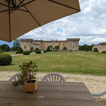 Au Coeur D'un Chateau Historique Avec Parc, Proche De Cognac, Ideal Famille Et Nature - Fr-1-653-167 Летний дом *