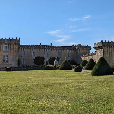 Au Coeur D'un Chateau Historique Avec Parc, Proche De Cognac, Ideal Famille Et Nature - Fr-1-653-167 Cherves-de-Cognac