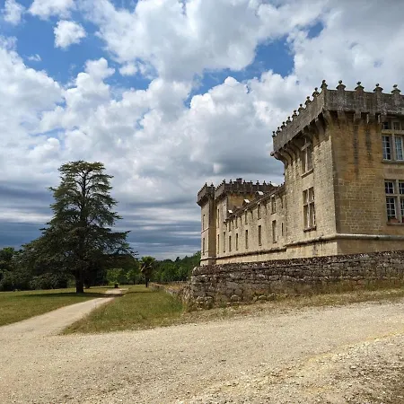 Au Coeur D'un Chateau Historique Avec Parc, Proche De Cognac, Ideal Famille Et Nature - Fr-1-653-167 Летний дом *