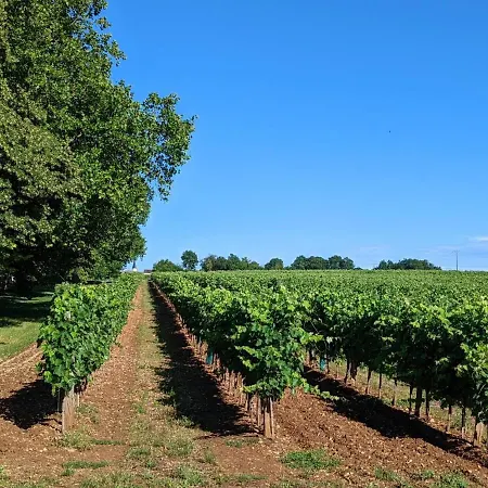 Au Coeur D'un Chateau Historique Avec Parc, Proche De Cognac, Ideal Famille Et Nature - Fr-1-653-167