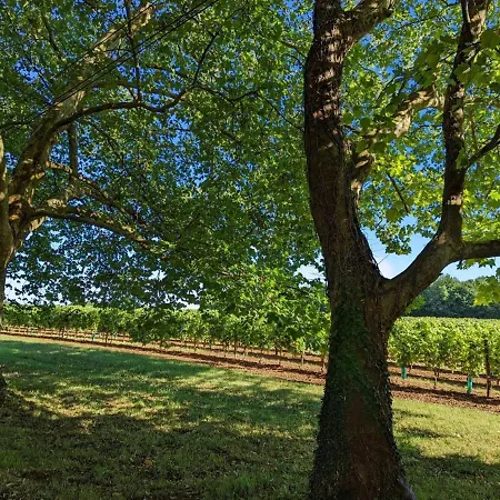 Au Coeur D'un Chateau Historique Avec Parc, Proche De Cognac, Ideal Famille Et Nature - Fr-1-653-167 Летний дом